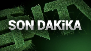 Fenerbahçe, Steven Caulker ile anlaştı