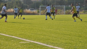 Gollü prova