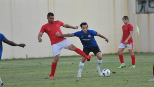 Doğan