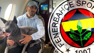 Sead Kolasinac, adım adım Fenerbahçe'ye! 3 yıllık sözleşme