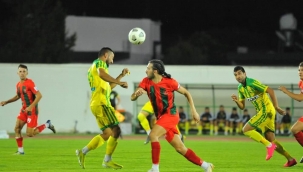 Derbi Karıncalar'ın