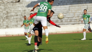 Hamitköy, hayat buldu