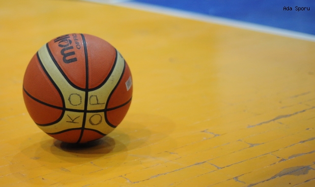 Basketbolda antrenör kursu ve seminer düzenliyor