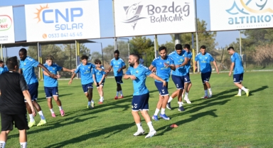Doğan sahaya indi